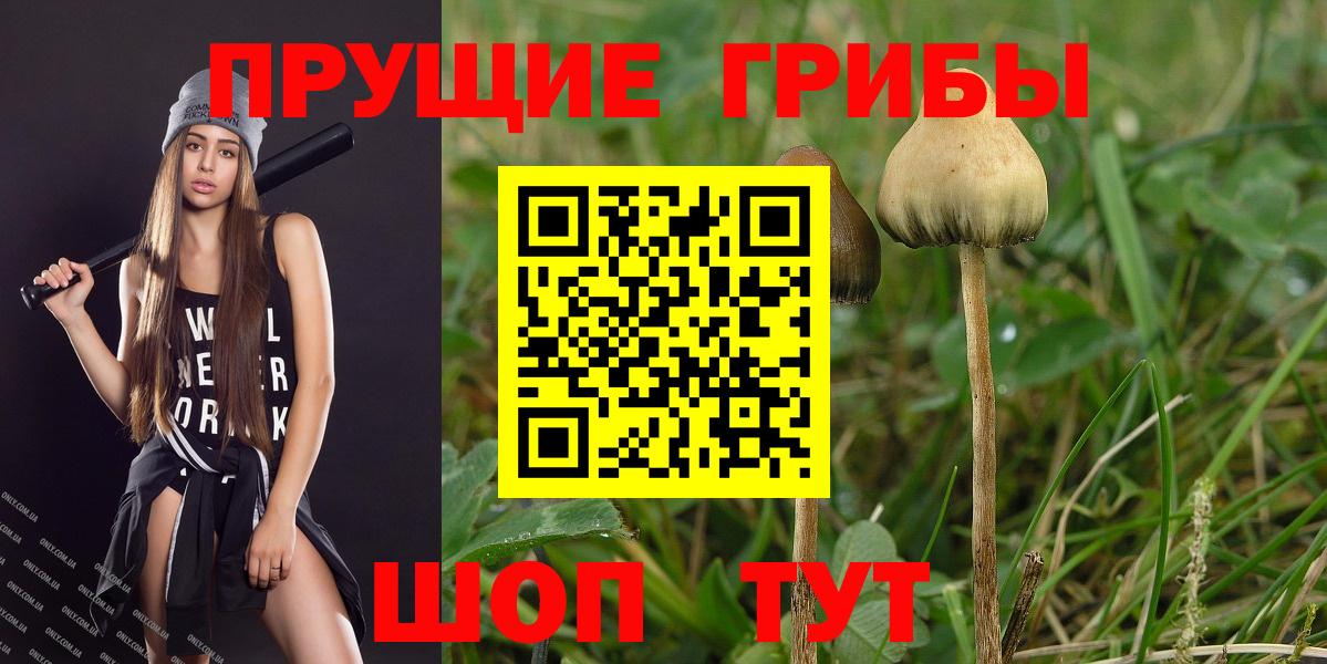 Псилоцибиновые грибы ЛСД Коммунар